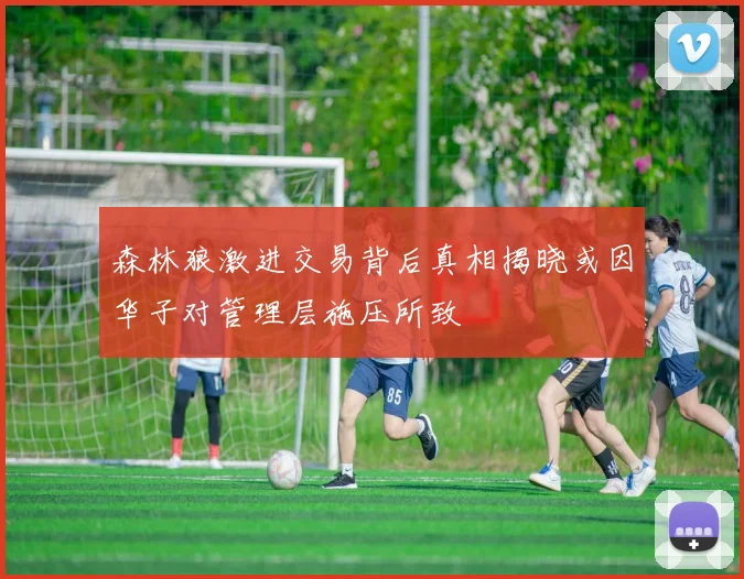 森林狼激进交易背后真相揭晓或因华子对管理层施压所致